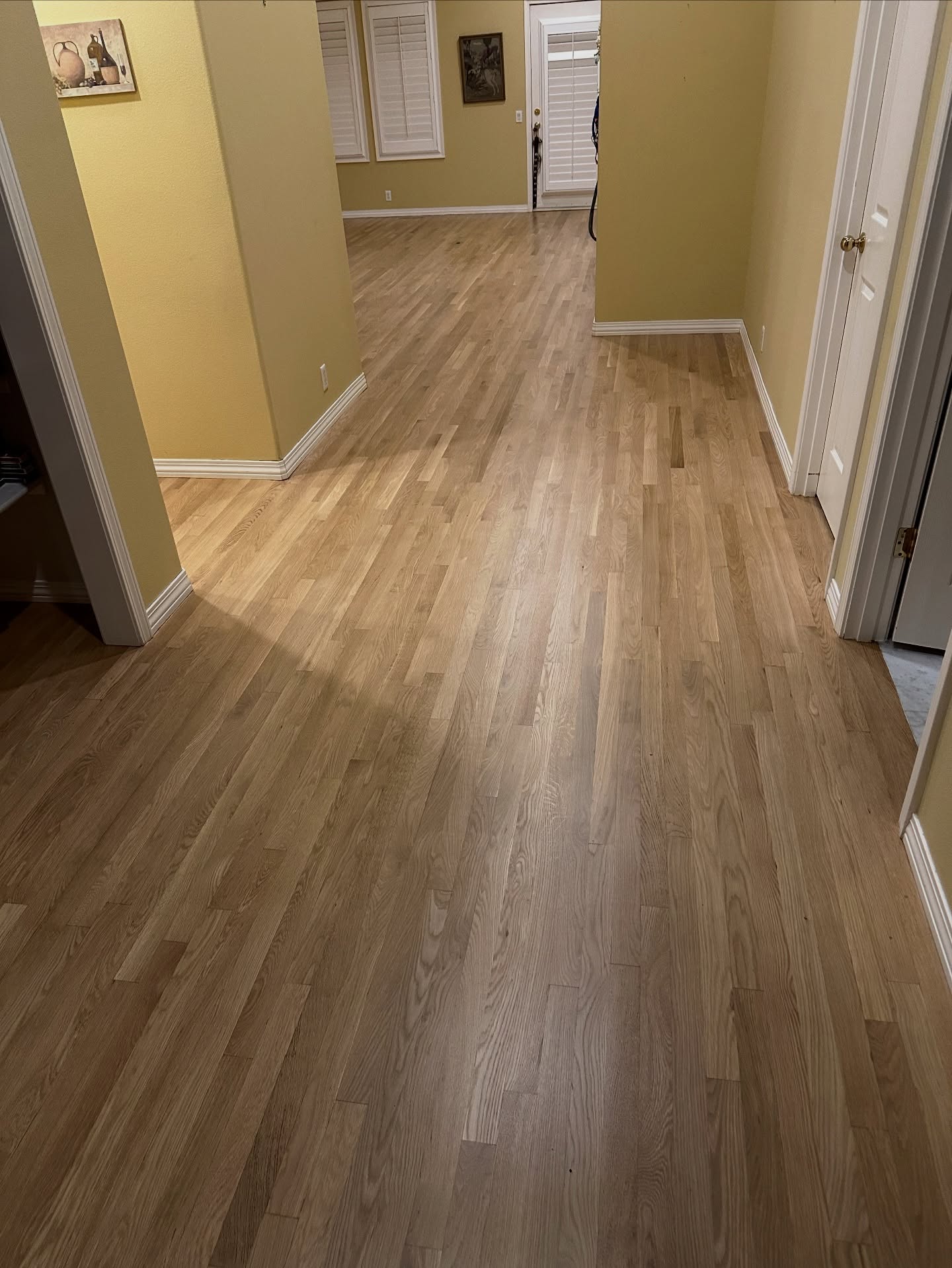 Long hallway of newly installed hardwood flooring in natural light